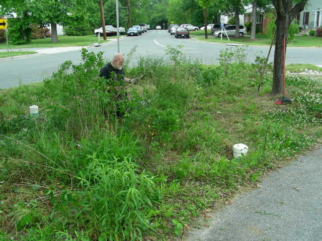 End of Weeding (1)