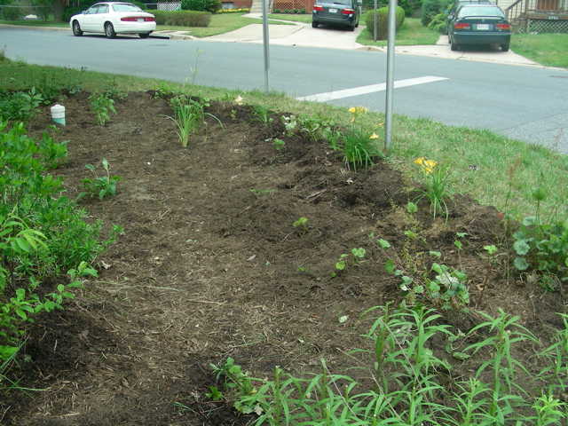 Western cell mulched