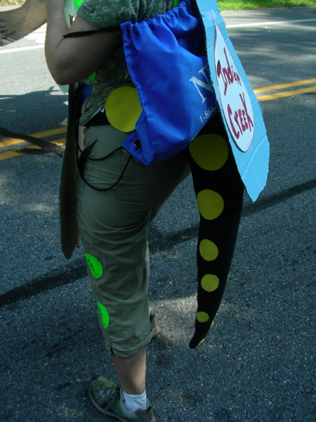 The salamander tail