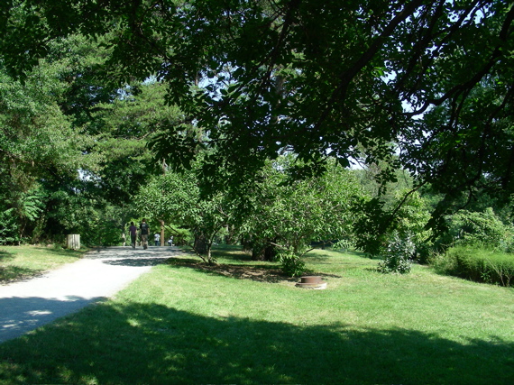 Trail at Playground