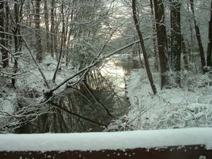 View of Greenbelt Lake from the East