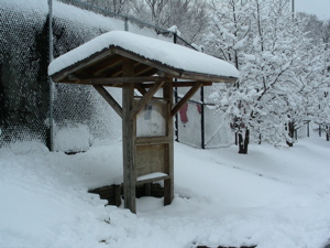 Tennis courts after snowstorm