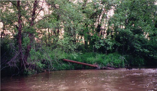 Indian Creek is reaching the open area of the gravel mine