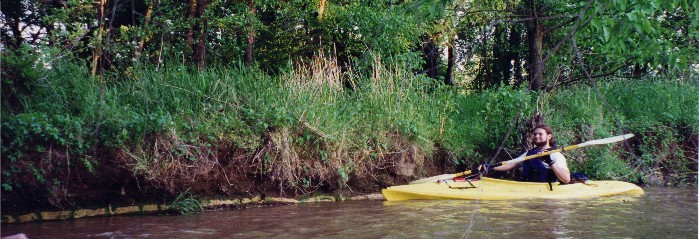 undisturbed Indian Creek floodplain