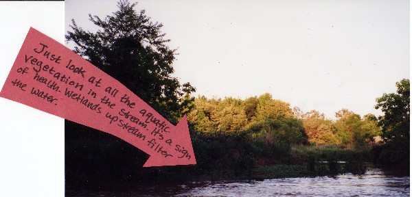 Indian Creek is reaching the open area of the gravel mine